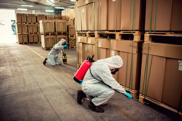 Best Flea Control Services  in Saybrook Manor, CT