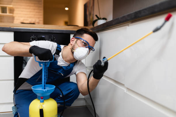 Best Local Pest Control Services  in Saybrook Manor, CT