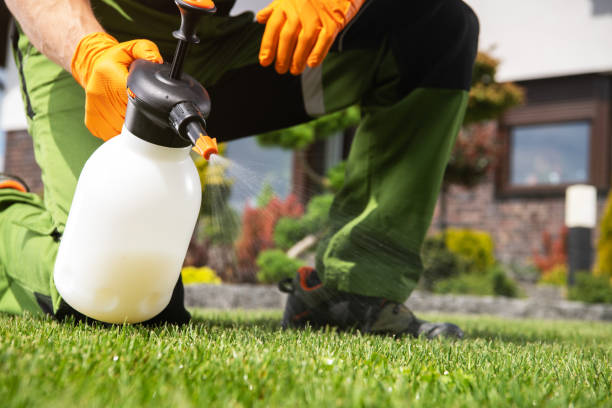 Flea Control Services in Saybrook Manor, CT