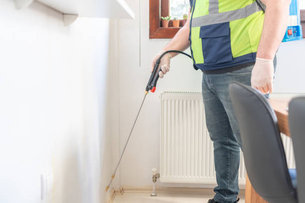 Best Termite Control Services  in Saybrook Manor, CT