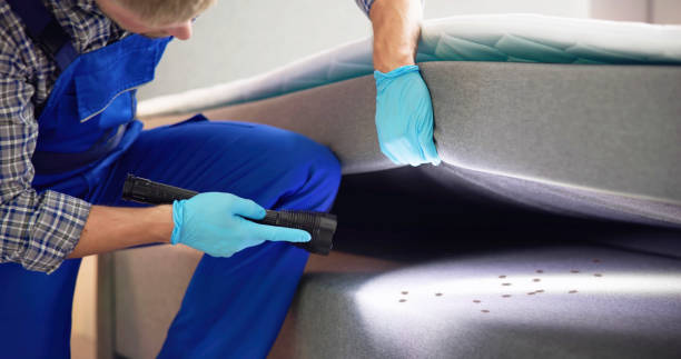 Saybrook Manor, CT Pest Control Company