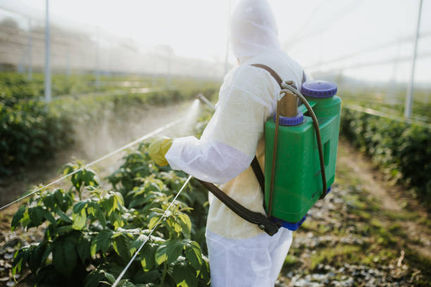 Pest Prevention Services in Saybrook Manor, CT